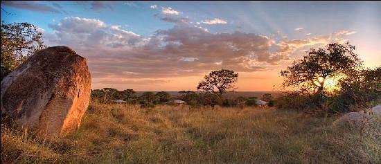 Serengeti Bushtops Camp