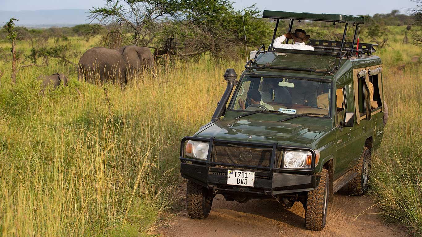 Serengeti Migration Camp