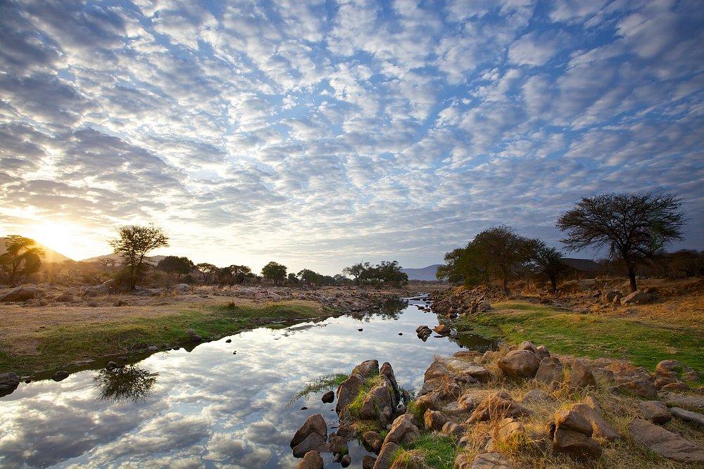 Ruaha River Lodge