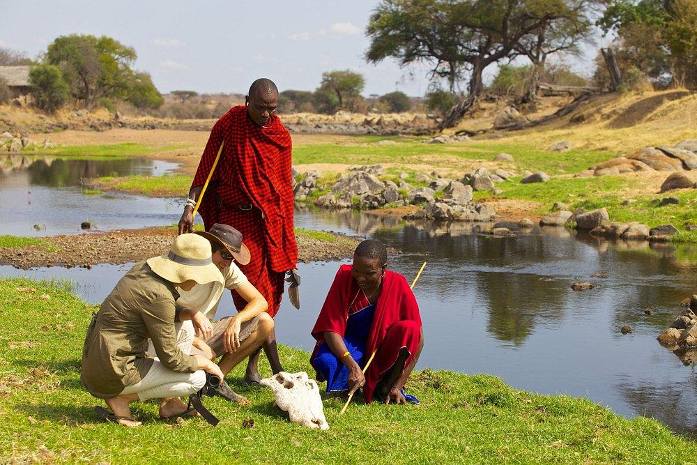 Ruaha River Lodge