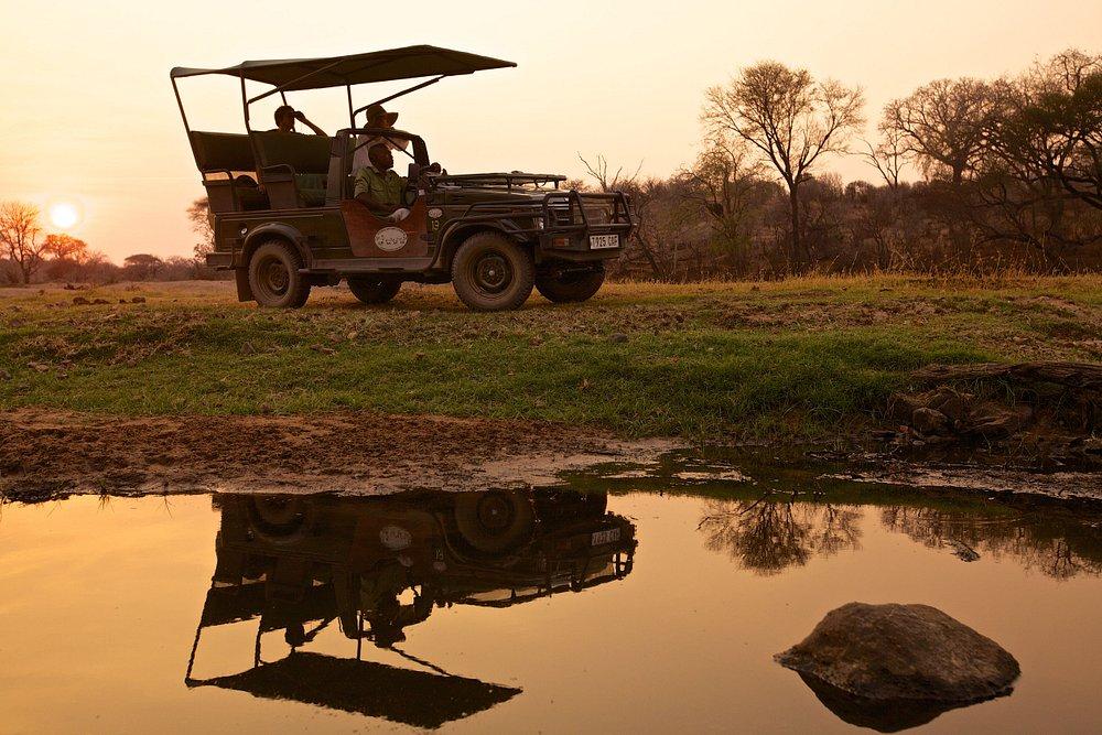 Ruaha River Lodge