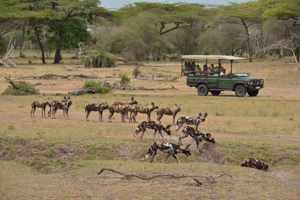 Siwandu Camp