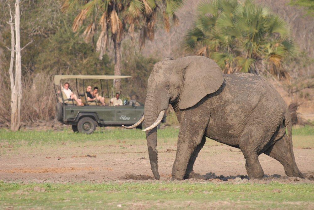 Siwandu Camp