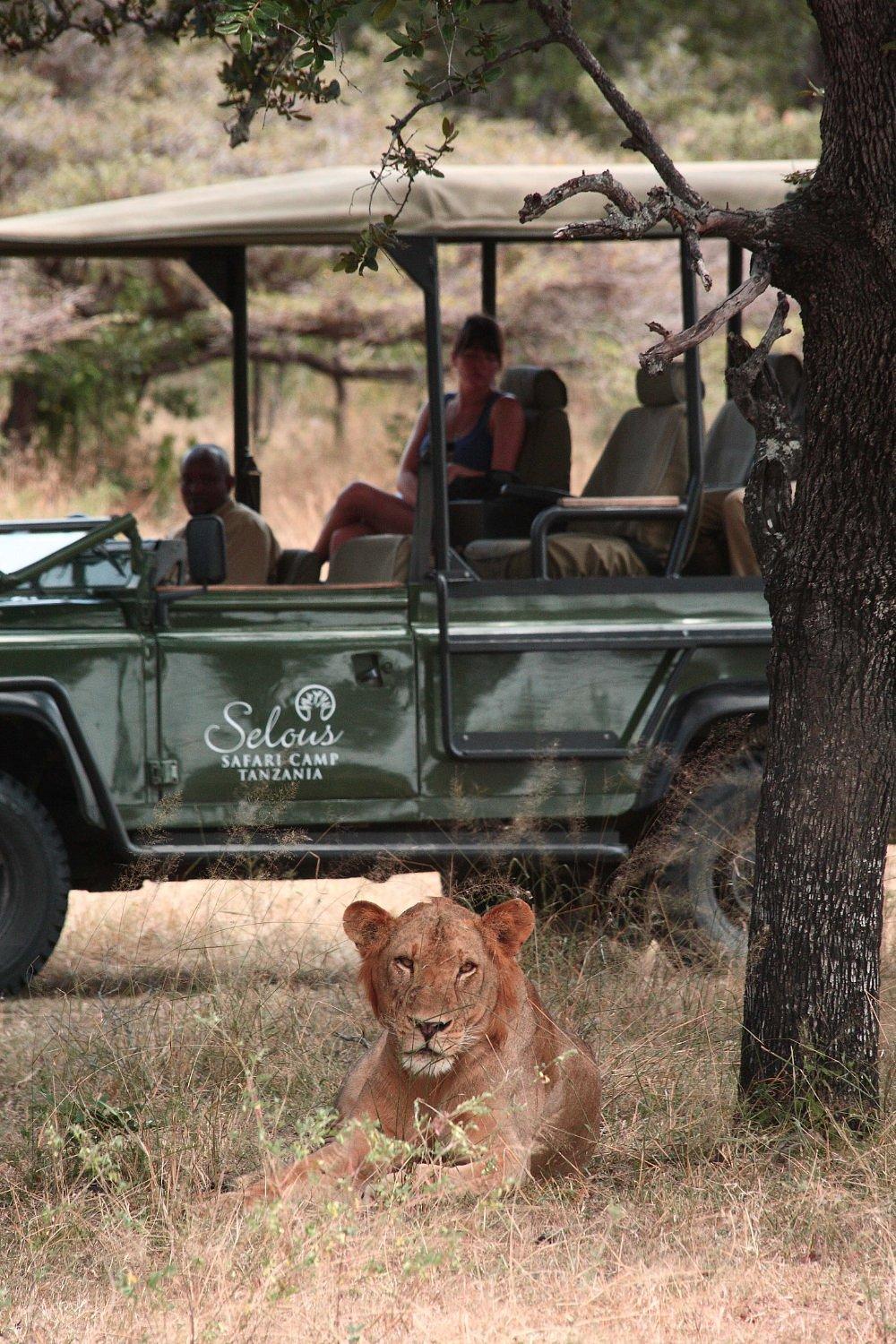 Siwandu Camp