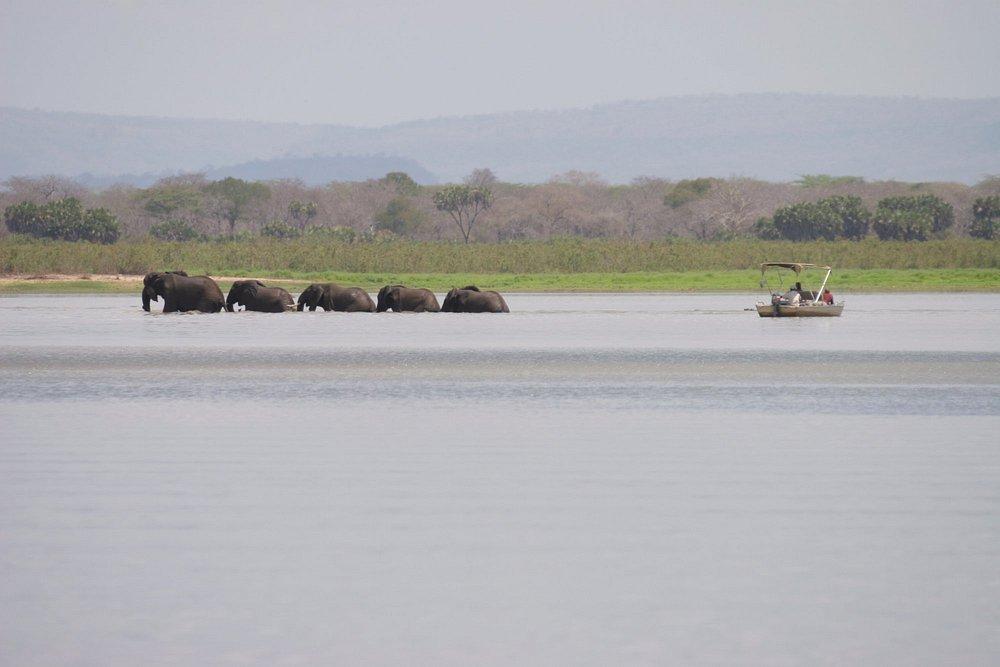 Siwandu Camp