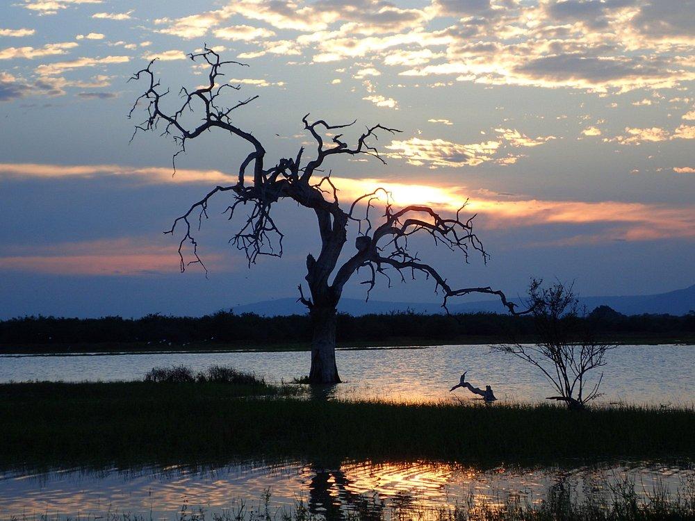 Siwandu Camp