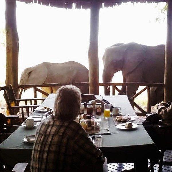 Katavi Wildlife Camp