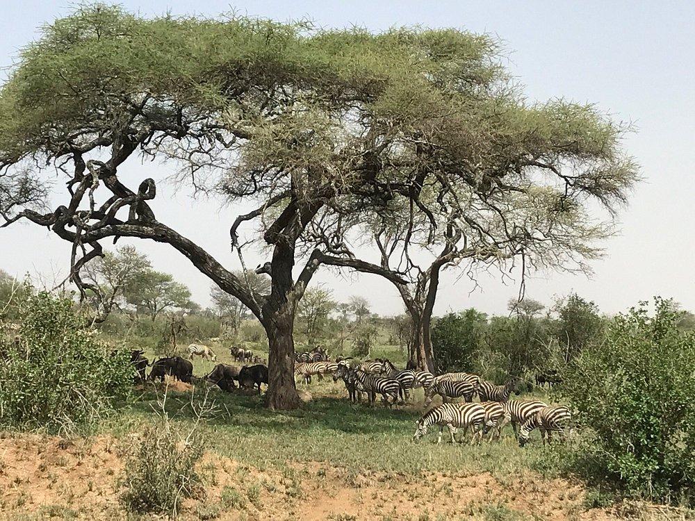 Sanctuary Kusini