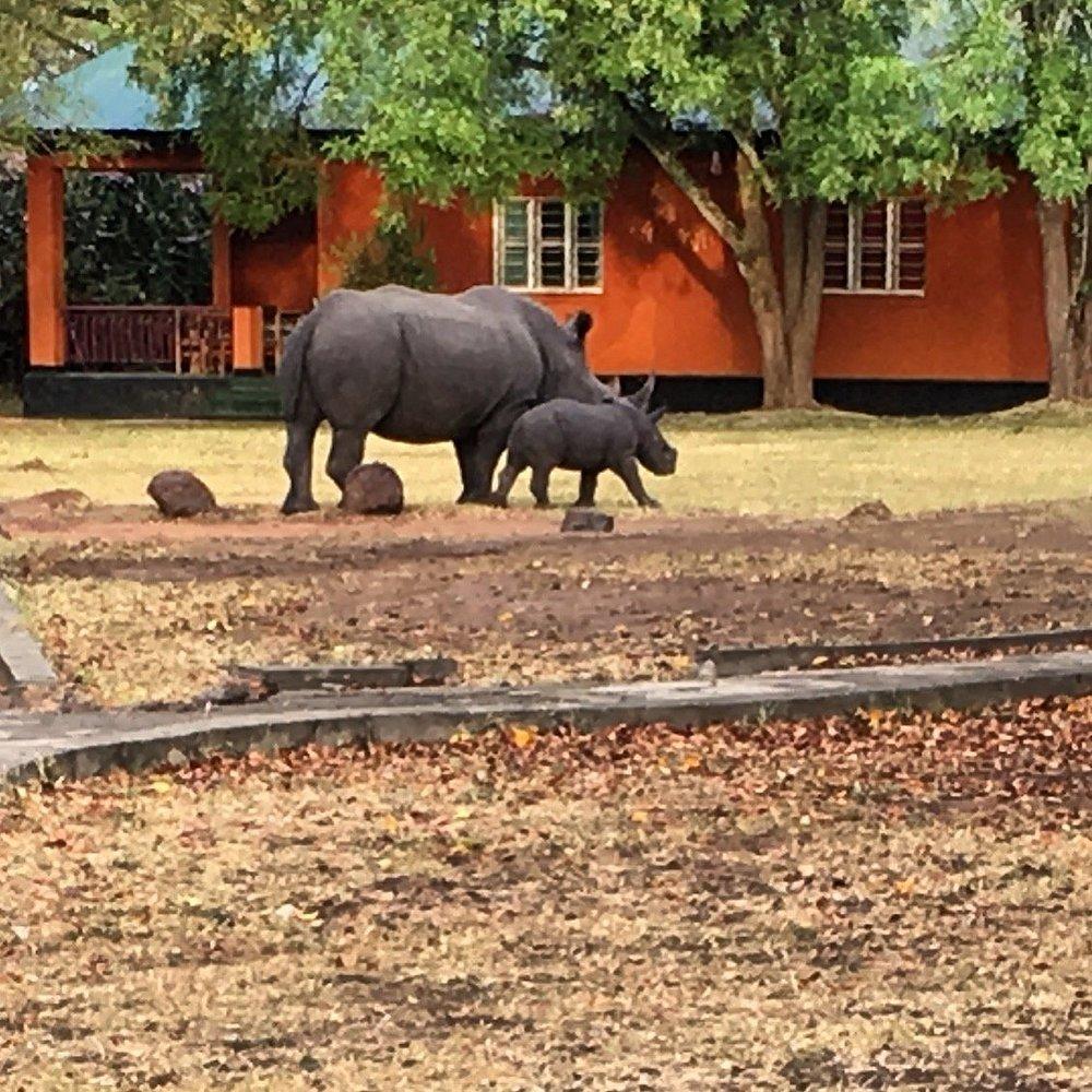 Ziwa Rhino Sanctuary
