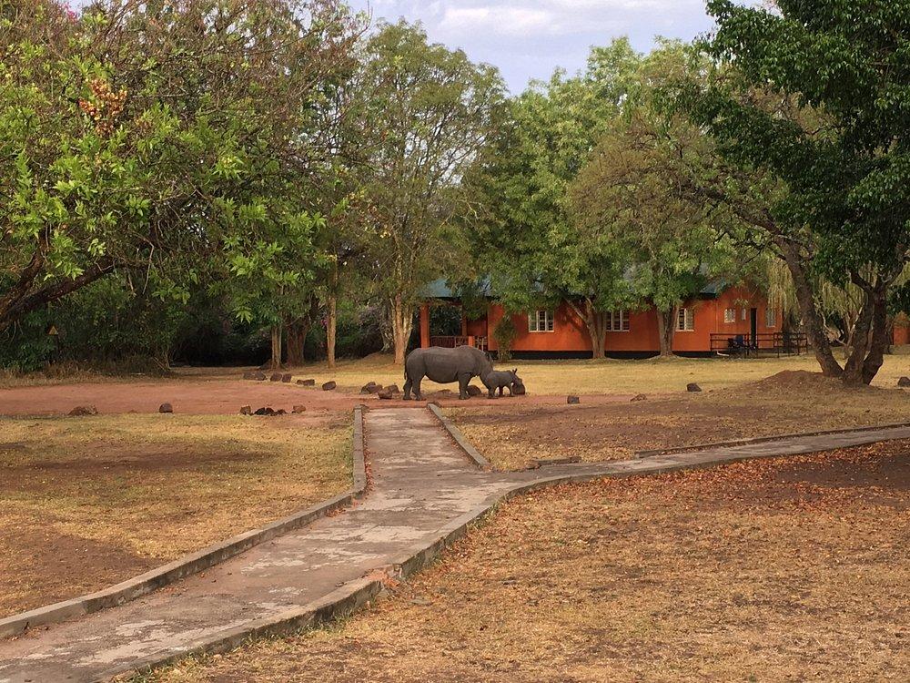 Ziwa Rhino Sanctuary