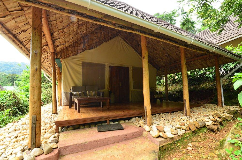 Mantis Gorilla Forest Camp