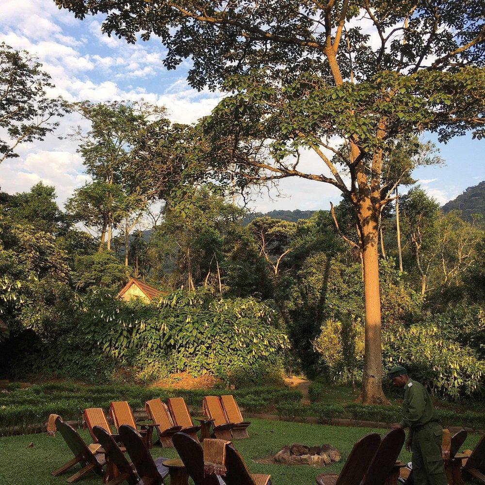 Mantis Gorilla Forest Camp