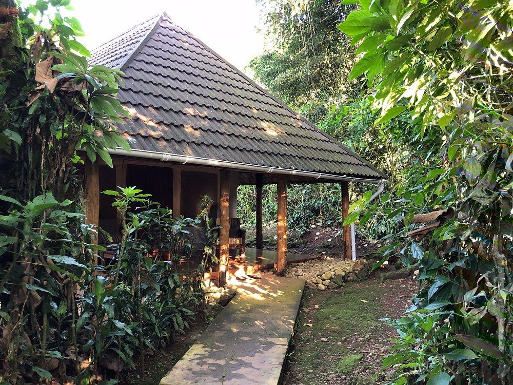 Mantis Gorilla Forest Camp