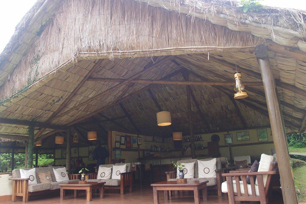 Mantis Gorilla Forest Camp