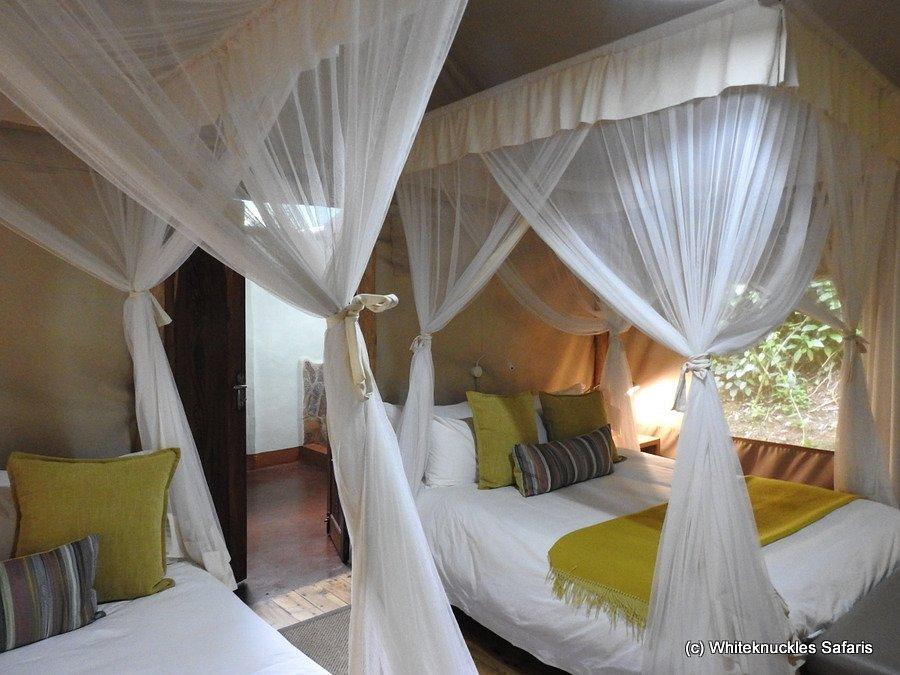 Mantis Gorilla Forest Camp