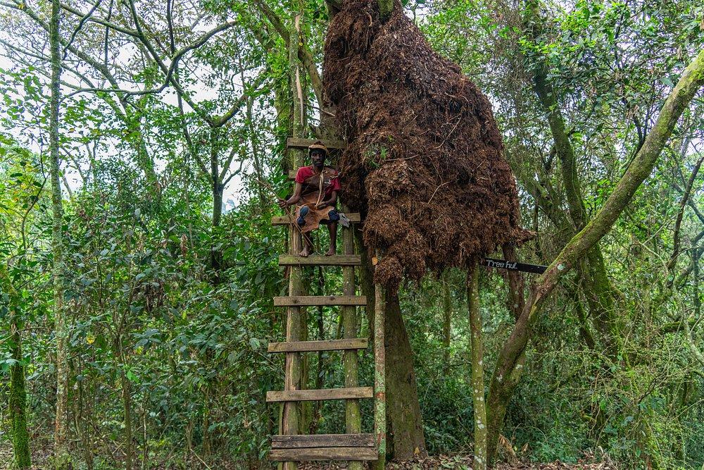 Gorilla Heights Lodge