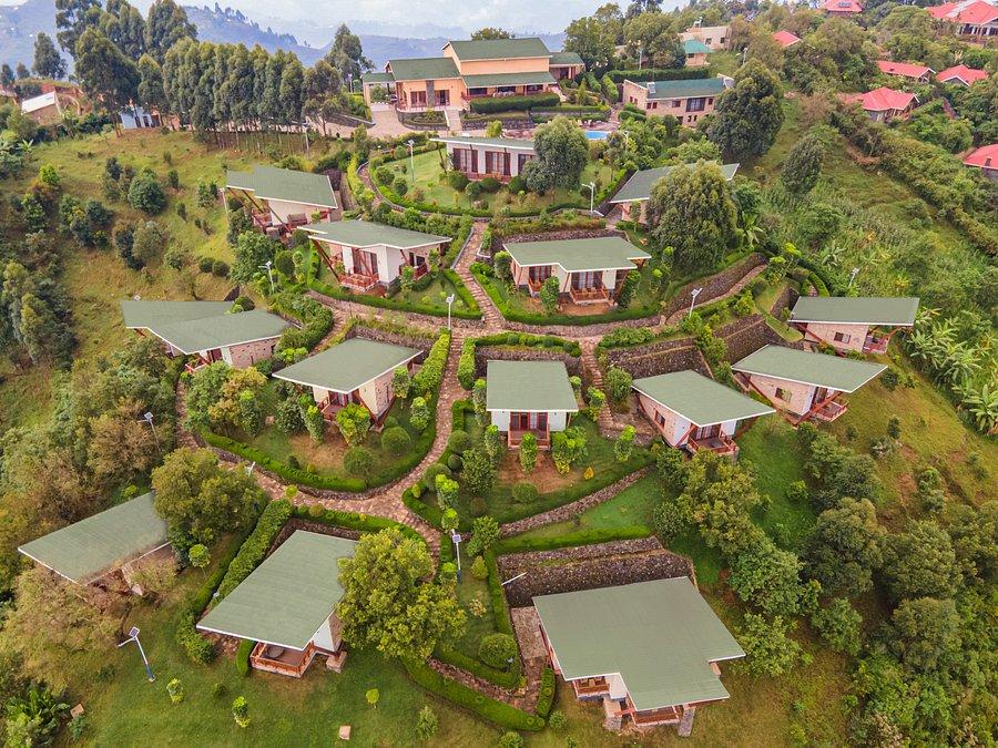 Gorilla Heights Lodge