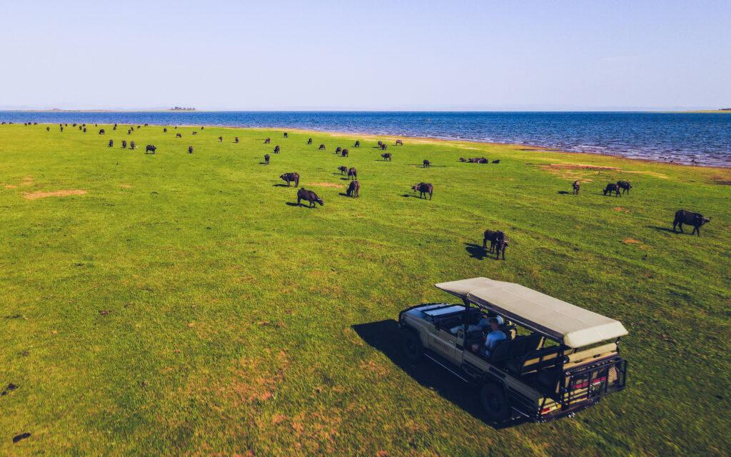 Bumi Hills Safari Lodge