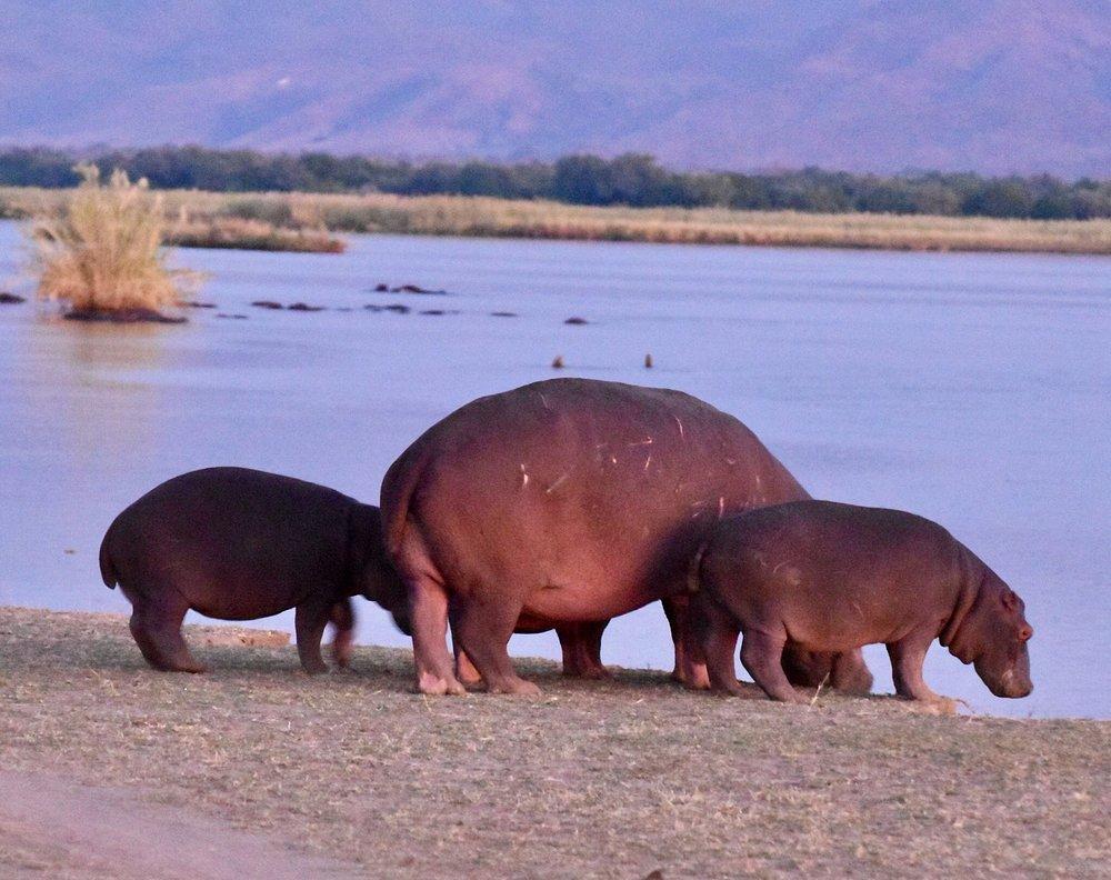 Nyamatusi Camp