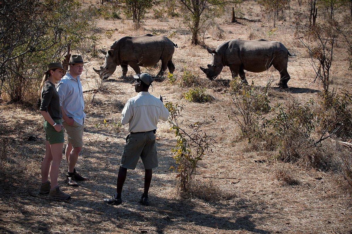 Thorntree River Lodge