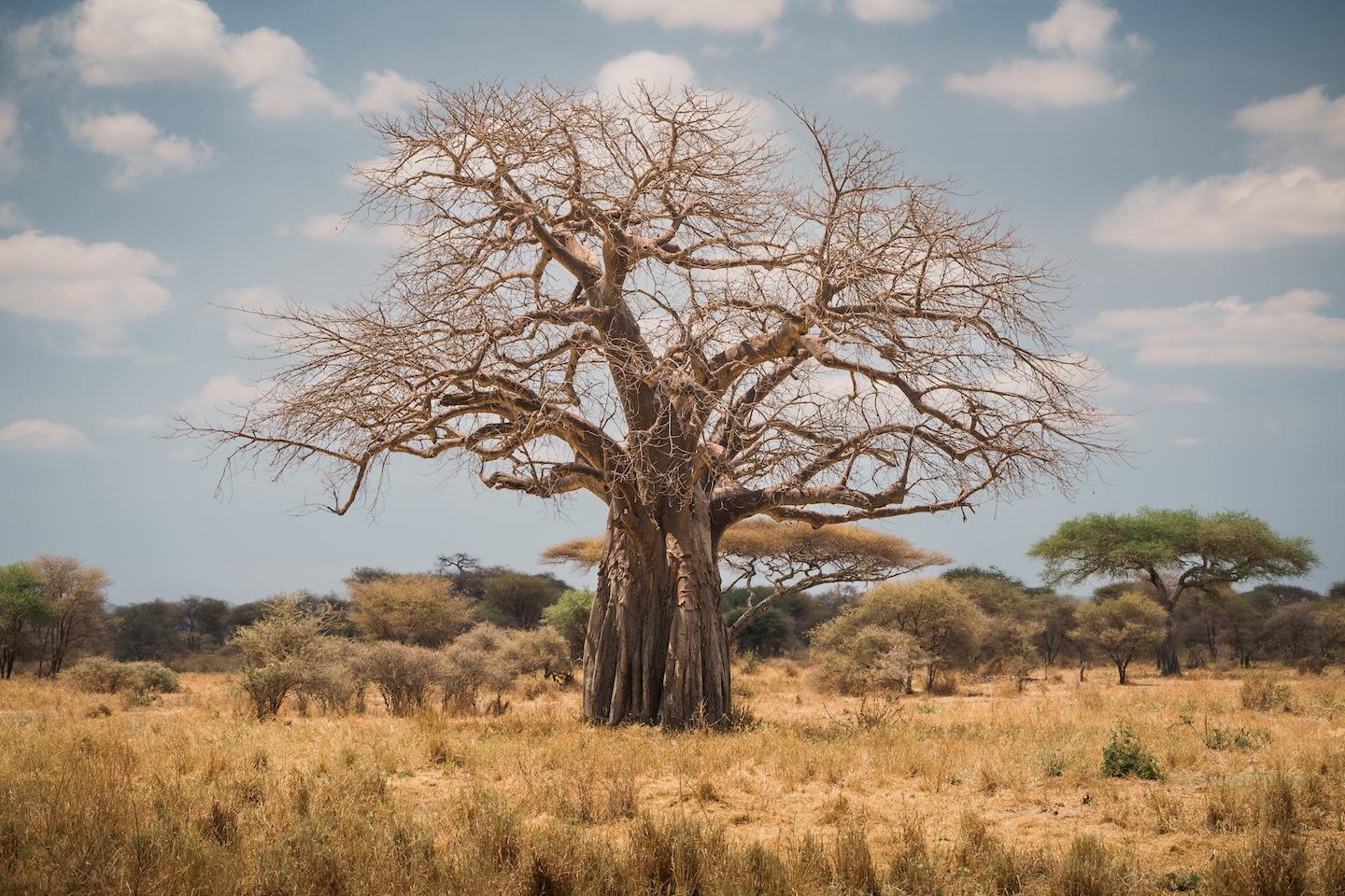 Serengeti National Park