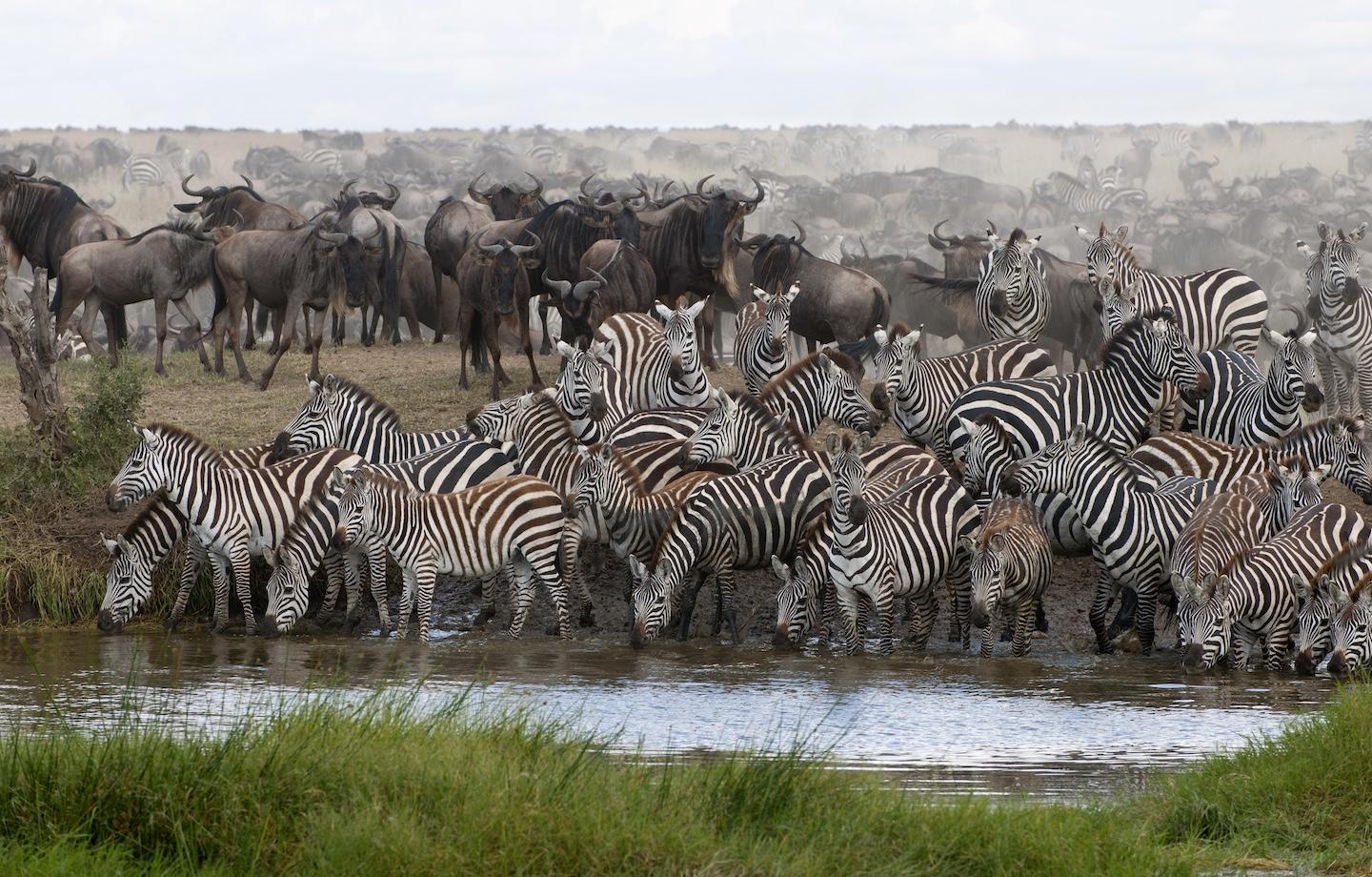 Serengeti National Park