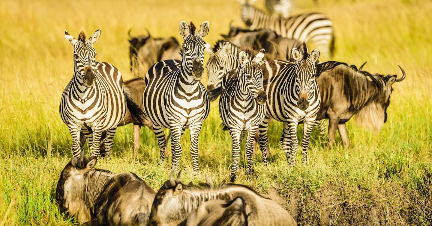 Serengeti National Park
