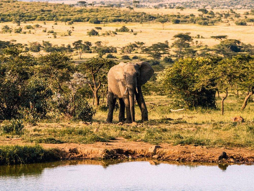 Naboisho Camp