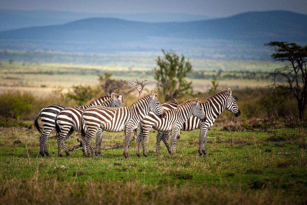 Naboisho Camp