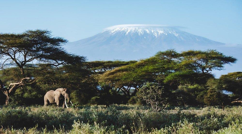 Angama Safari Amboseli