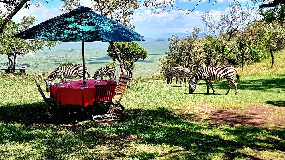 Siria Tented Camp