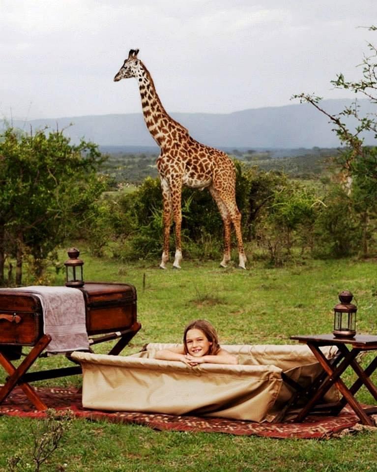 Cottars Bush Villa
