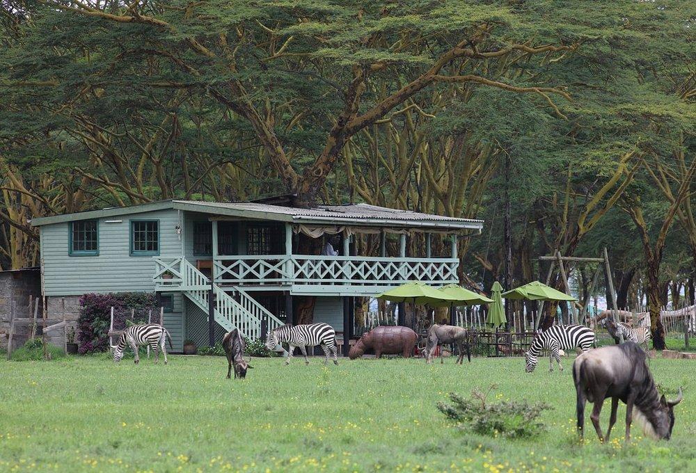 Sanctuary Farm