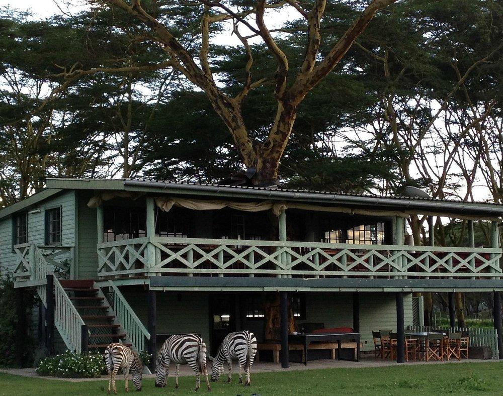 Sanctuary Farm