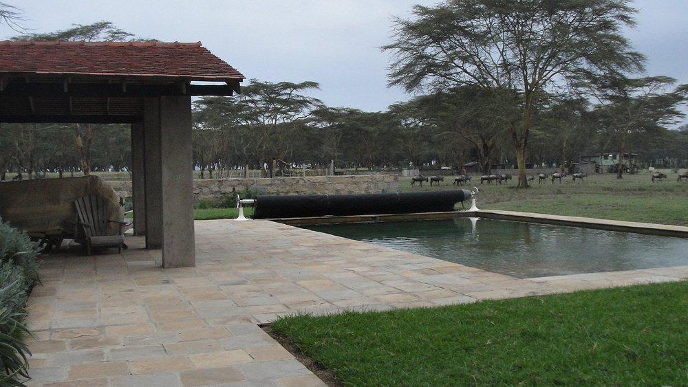 Sanctuary Farm