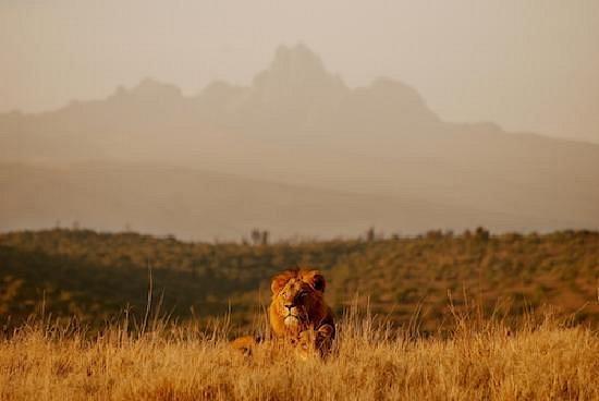 Borana Lodge