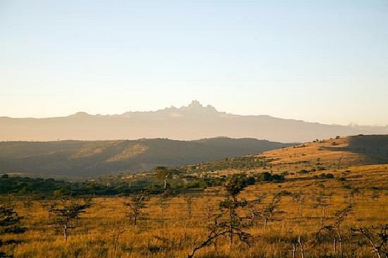 Borana Lodge