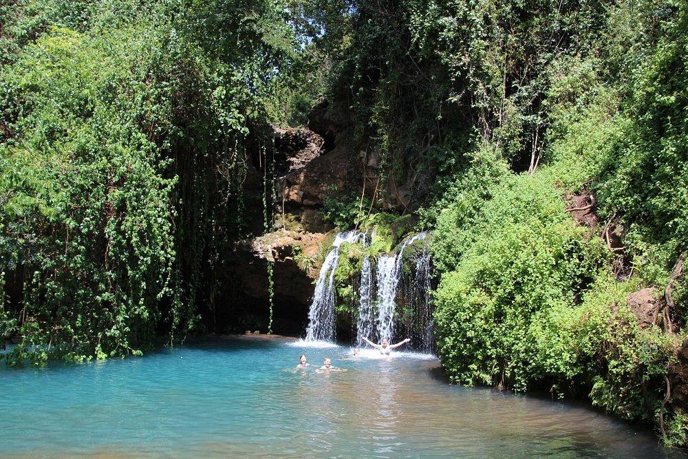 Borana Lodge