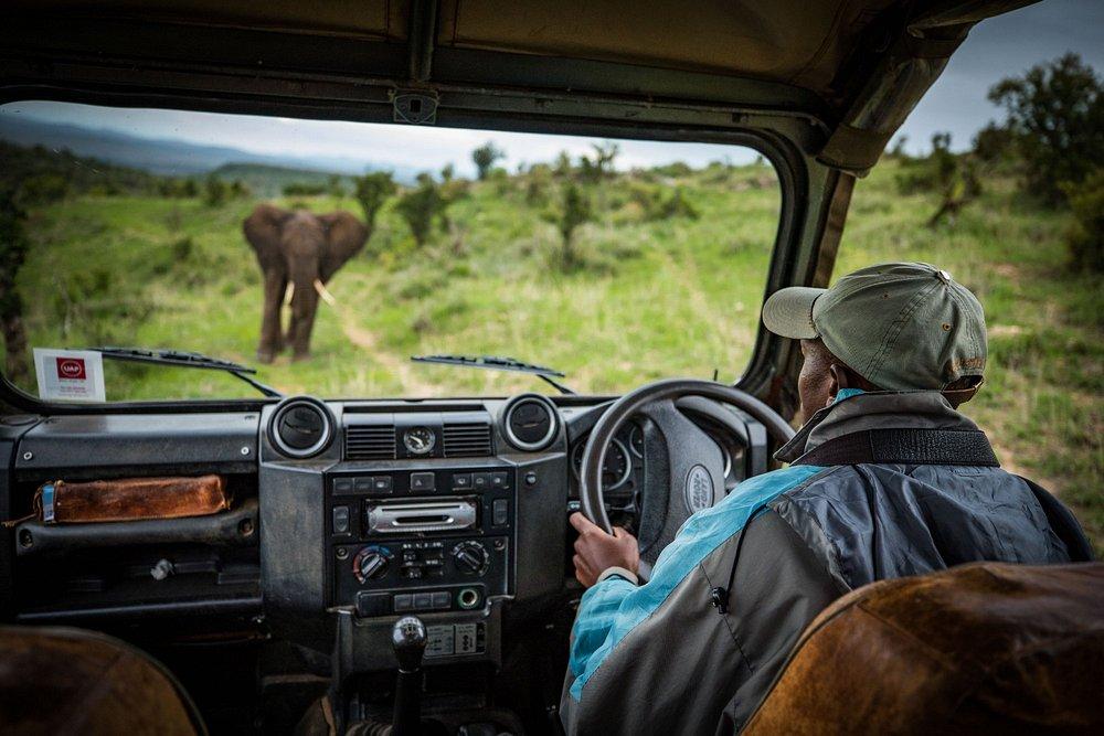 Borana Lodge
