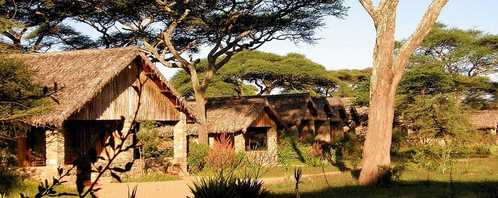 Ndutu Safari Lodge