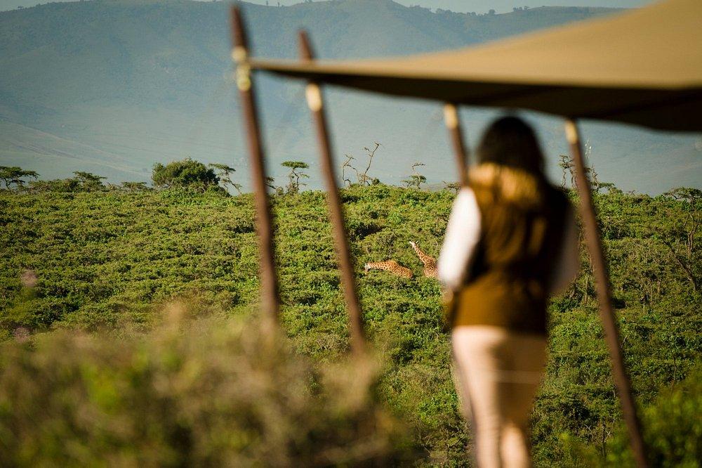 Entamanu Ngorongoro