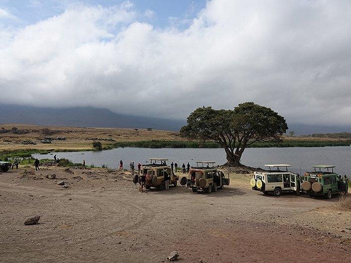 Entamanu Ngorongoro