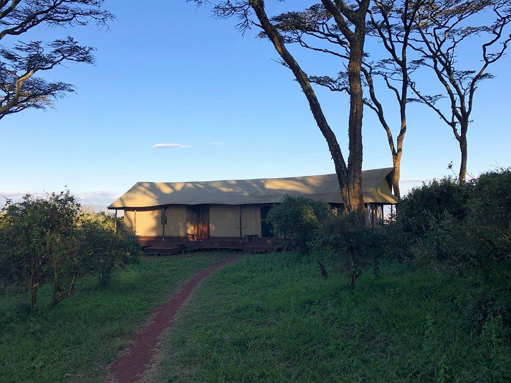Entamanu Ngorongoro