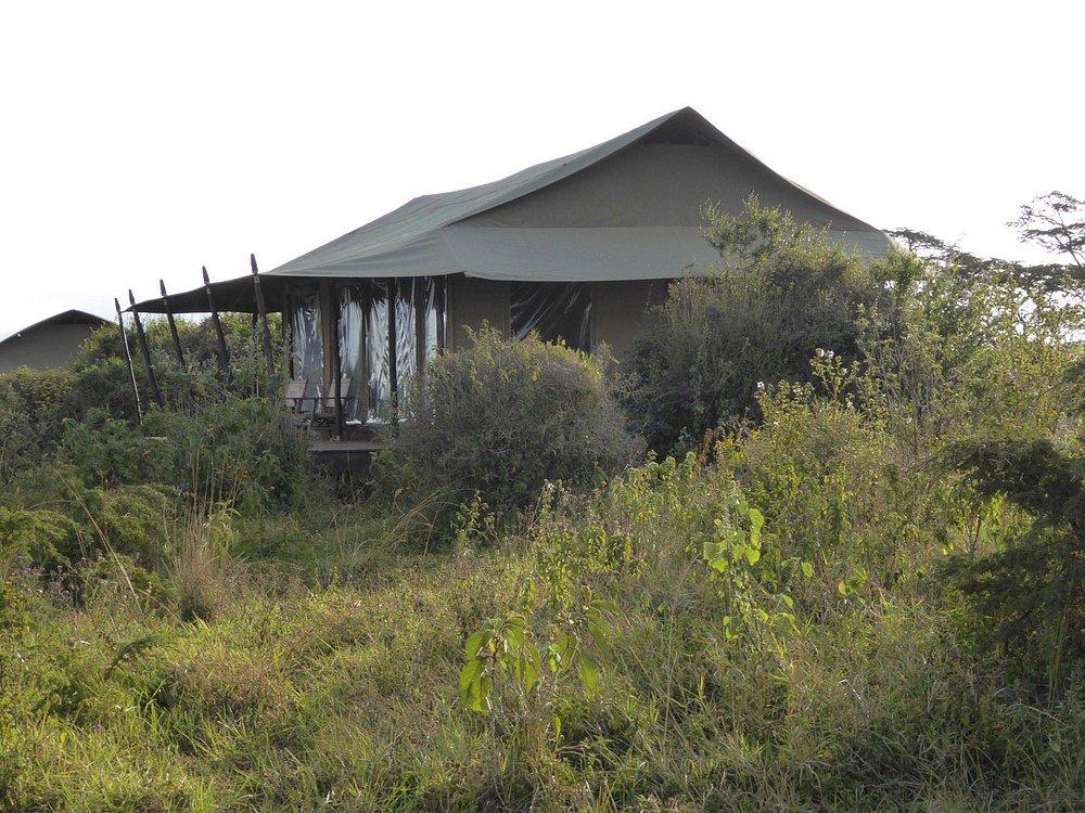 Entamanu Ngorongoro