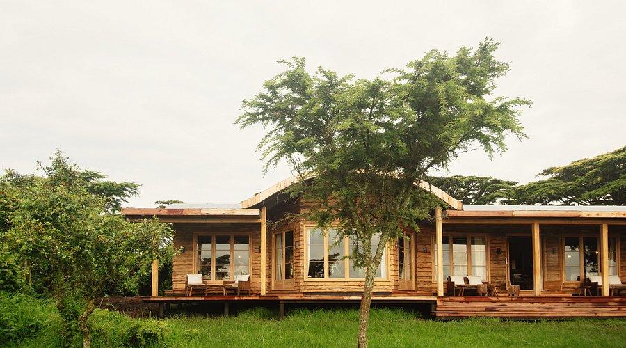 Entamanu Ngorongoro
