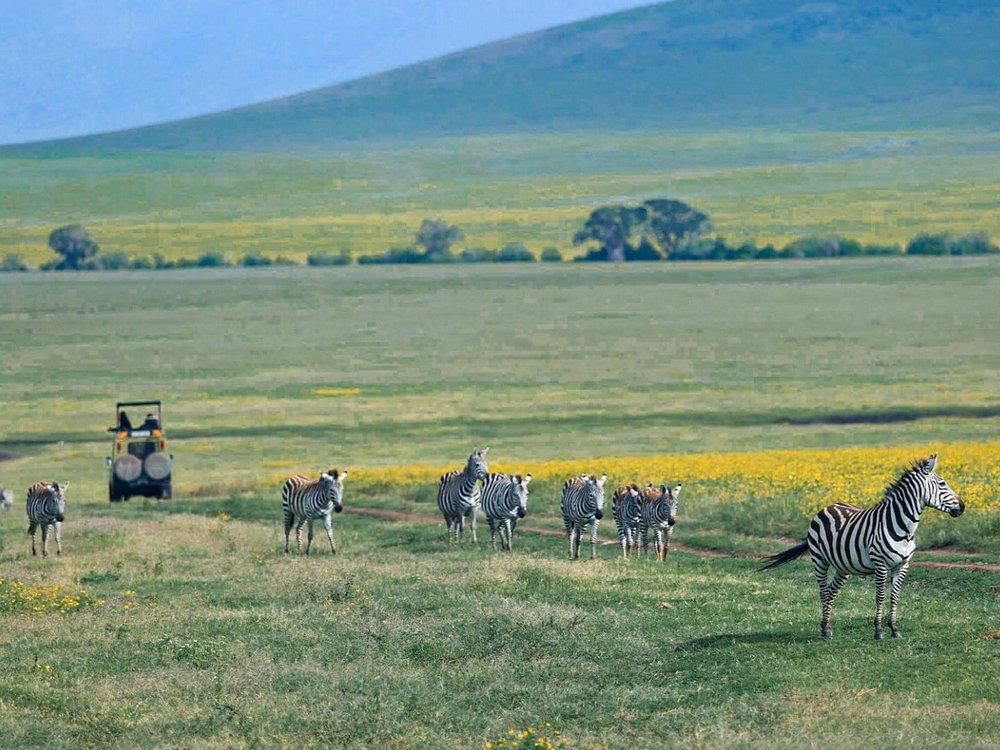 Highlands Camp Ngorongoro