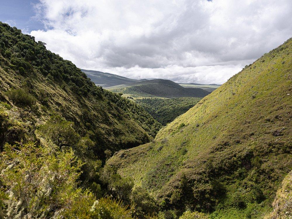Highlands Camp Ngorongoro