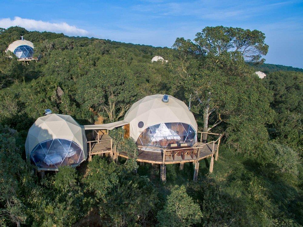 Highlands Camp Ngorongoro