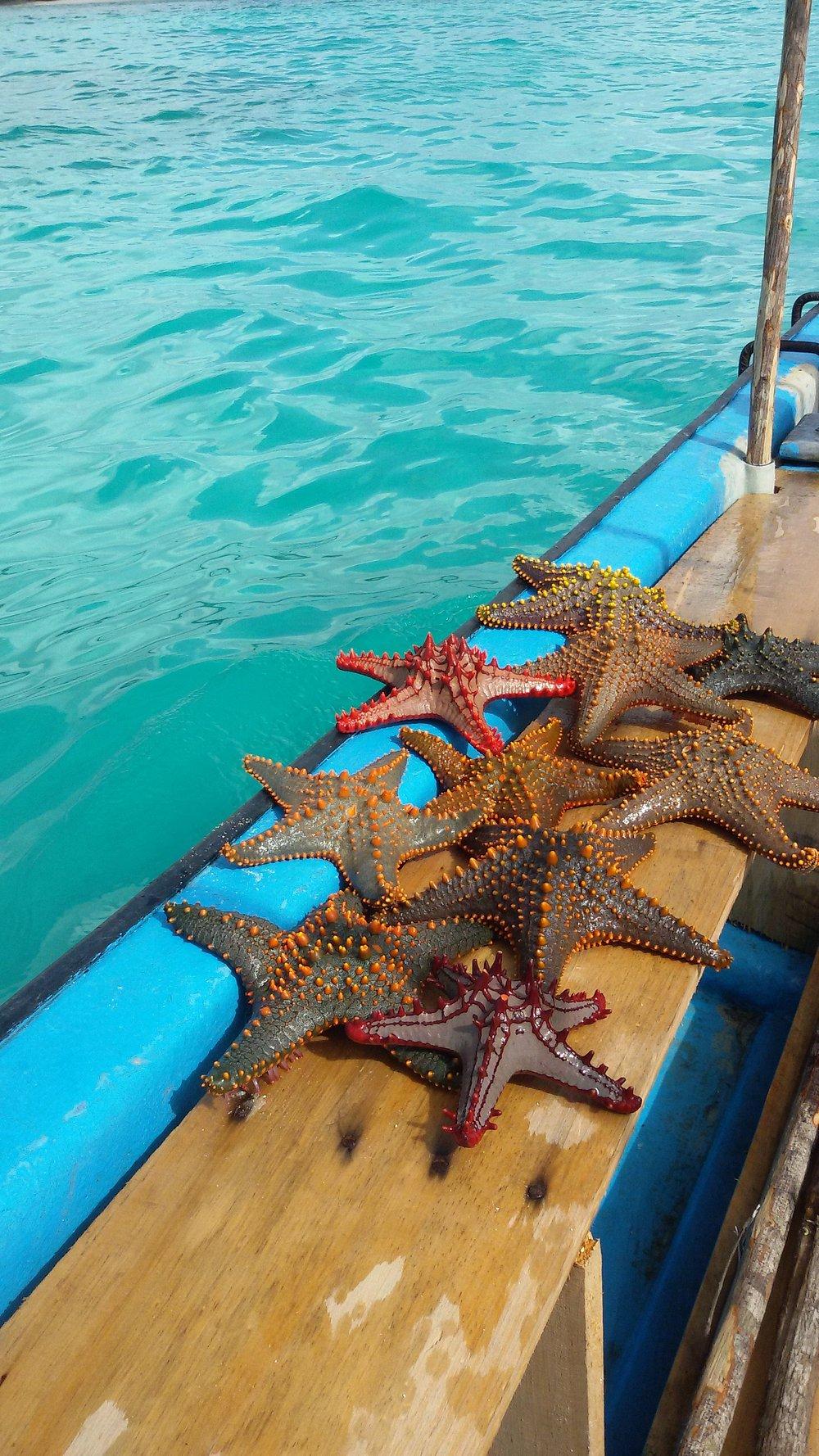Karafuu Beach Resort & Spa
