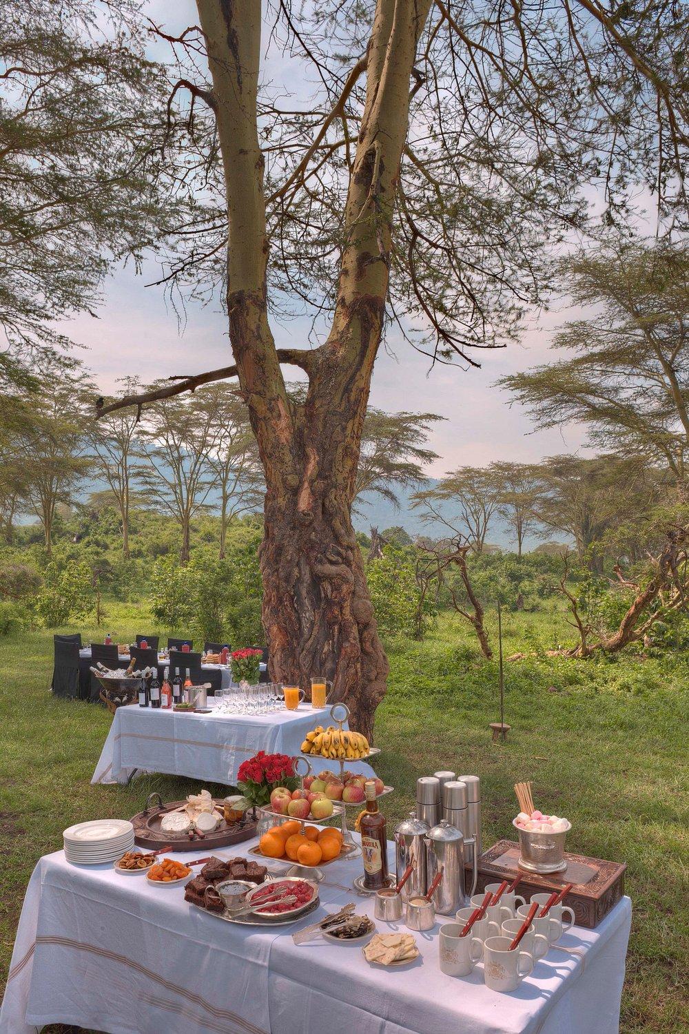 andBeyond Ngorongoro Crater Lodge